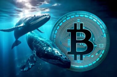 క్రిప్టో మార్కెట్లో ‘వేల్’ (పెద్ద పెట్టుబడిదారుల) కార్యకలాపాలు: 24 గంటలలో $99 మిలియన్ వైదొలగింపులు, ఇబ్బంది కబుర్లు