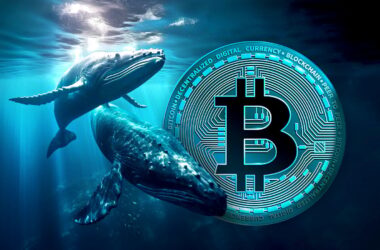 Bitcoin experienced a flash crash dipping below $110,000 after a whale dumped 24,000 BTC