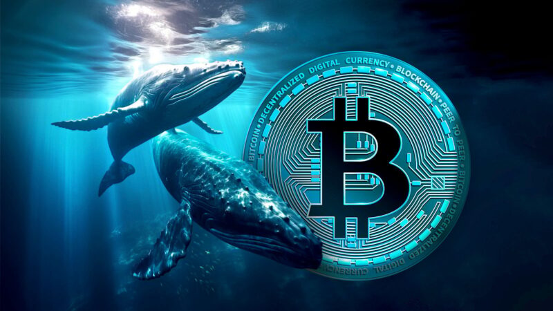 Bitcoin experienced a flash crash dipping below $110,000 after a whale dumped 24,000 BTC