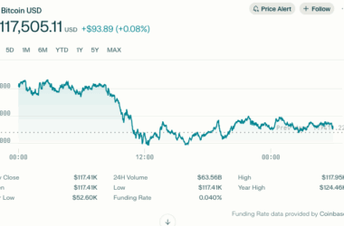 బిట్కాయిన్ భారీ గరిష్ఠస్థాయి – చిన్న గడచికిపోయిన పతనం