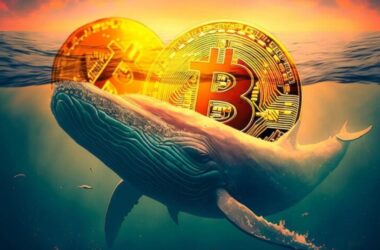 బిట్కాయిన్ మార్కెట్లో హంగామా: "వేల్" ట్రాన్స్ఫర్లతో పెరిగిన అమ్మకపు ఒత్తిడి, వోలటిలిటీ