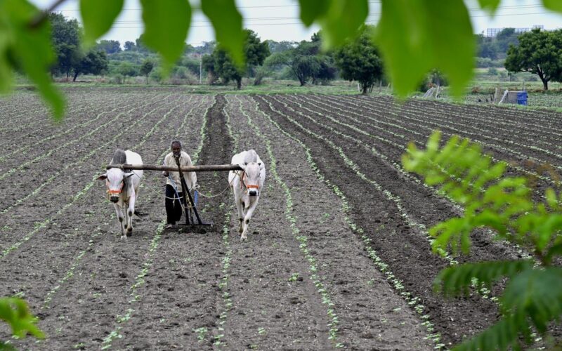 Farmers to Get Up to ₹75 Lakh Loans Without Collateral in AP