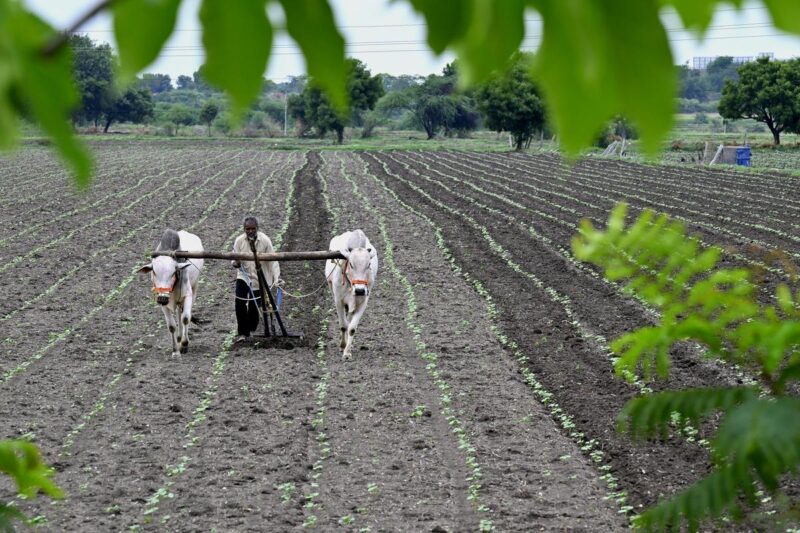 Farmers to Get Up to ₹75 Lakh Loans Without Collateral in AP