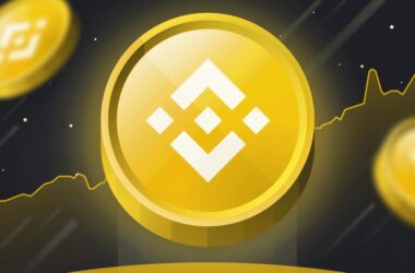 Binance Coin (BNB): Trading at approximately  $1,016.23 per BNB