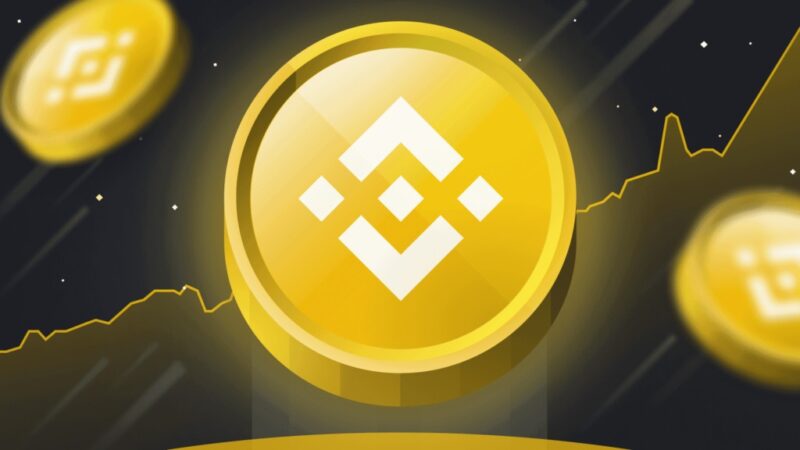 Binance Coin (BNB): Trading at approximately  $1,016.23 per BNB