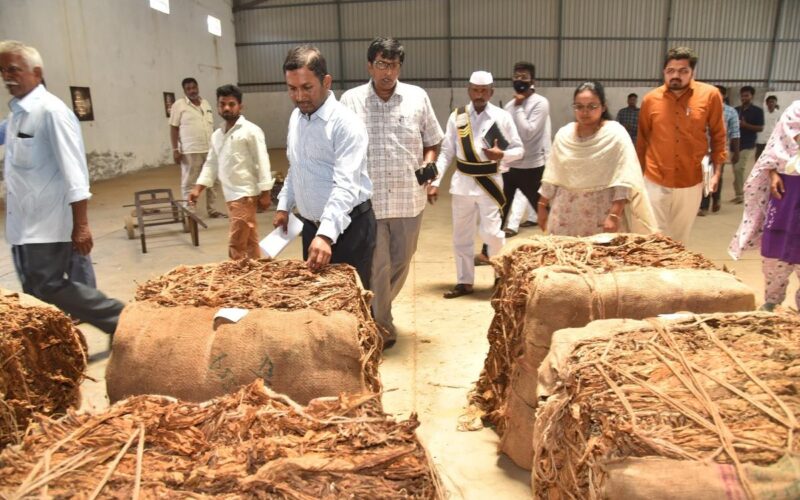 ఆంధ్రప్రదేశ్ ప్రభుత్వం గత్తి పొగాకు రైతుల ఖాతాల్లో ₹54.88 కోట్ల సబ్సిడీ జమ చేసినది