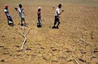 రాయలసీమలో కాలవ ధరలు పడతుండటంతో పండ్ల రైతులు ఇబ్బందులు