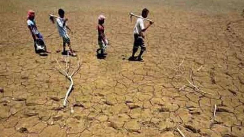 రాయలసీమలో కాలవ ధరలు పడతుండటంతో పండ్ల రైతులు ఇబ్బందులు