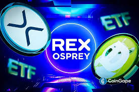 Dogecoin and XRP ETFs