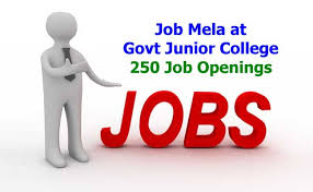 పల్నాడు జిల్లా ప్రభుత్వ జూనియర్ కాలేజీలో జాబ్ డ్రైవ్: సెప్టెంబర్ 24న 250 పోస్టులకు అవకాశం