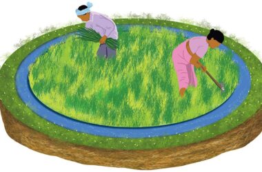 Drip ఇరిగేషన్పై కొత్త GSTతో భారీ లాభం – రైతులకు 90% వరకు ధర తగ్గుదల