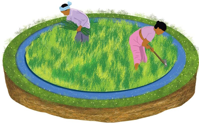 Drip ఇరిగేషన్‌పై కొత్త GSTతో భారీ లాభం – రైతులకు 90% వరకు ధర తగ్గుదల