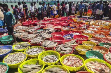 ఆక్వా రంగానికి సెంట్రల్ సహాయం కోరిన సీఎం చంద్రబాబు