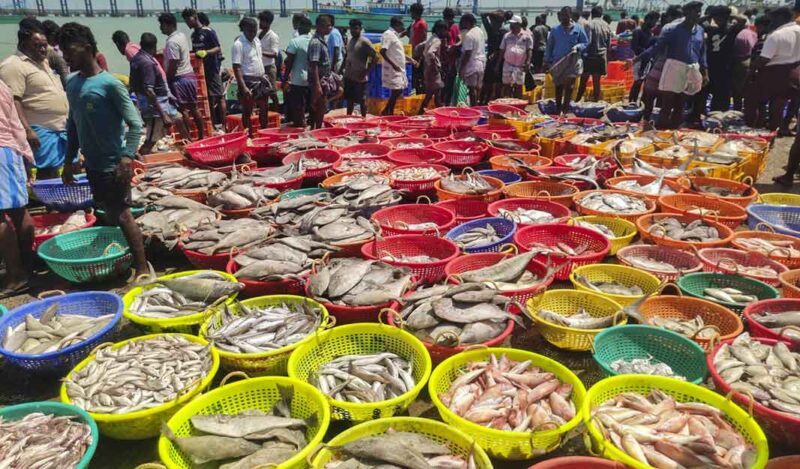 ఆక్వా రంగానికి సెంట్రల్ సహాయం కోరిన సీఎం చంద్రబాబు