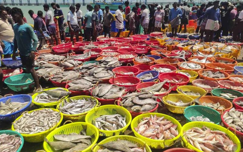 ఆక్వా రంగానికి సెంట్రల్ సహాయం కోరిన సీఎం చంద్రబాబు