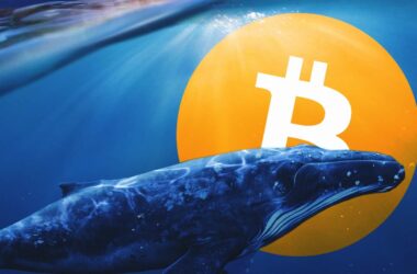 బిట్కాయిన్ $112,000 వద్ద నిలువు, భారీ విక్రయాల మధ్య సరిపోవడం