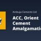 amalgamation of ACC Ltd and Orient Cement Ltd
